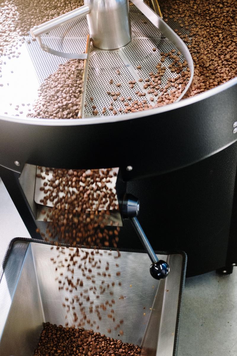 Freshly Roasted Coffee Beans